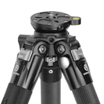 ALTA PRO 3VL 264CV14 - Videostativ aus Carbon mit Nivellierbasis - Traglast 8 kg