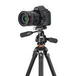 VEO 5 234APS36  –  Stativ AUS ALUMINIUM MIT 3-WEGE-KUGELKOPF - Traglast 6 kg
