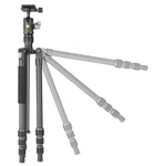 VESTA GO 204CB Reisetativ aus Carbon mit Kugelkopf - 3 kg Traglast