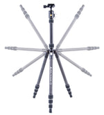 Vesta TB 204CB