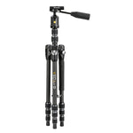 VEO3T 204CBP Carbon Reisestativ