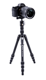 Vesta TB 204ABS