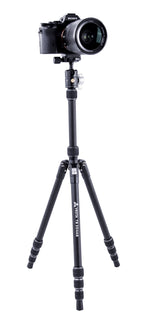 Vesta TB 204AB